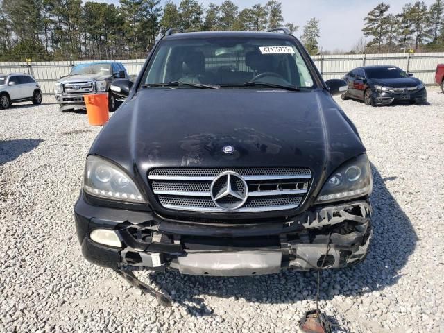 2004 Mercedes-Benz ML 500