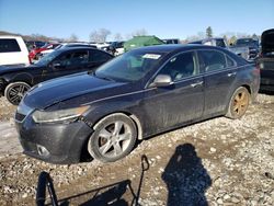 Salvage cars for sale at West Warren, MA auction: 2013 Acura TSX