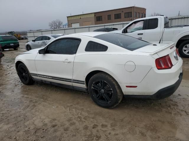 2010 Ford Mustang