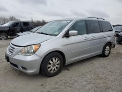 Honda Vehiculos salvage en venta: 2010 Honda Odyssey EXL