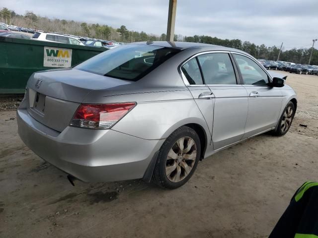 2010 Honda Accord EXL