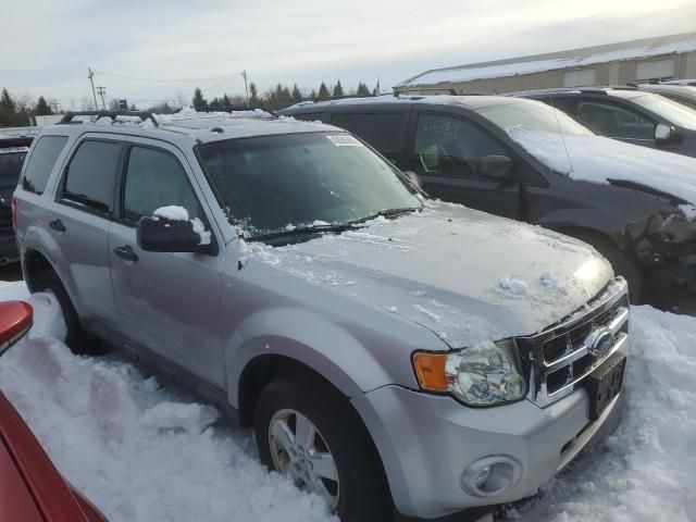 2009 Ford Escape XLT