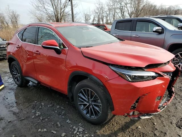 2024 Lexus NX 350 Base