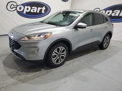 Ford salvage cars for sale: 2022 Ford Escape SEL