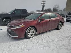 Salvage cars for sale at Wayland, MI auction: 2019 Toyota Camry L