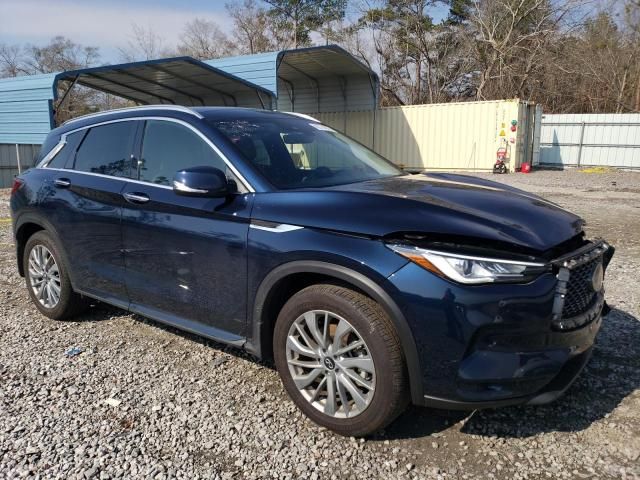 2024 Infiniti QX50 Luxe