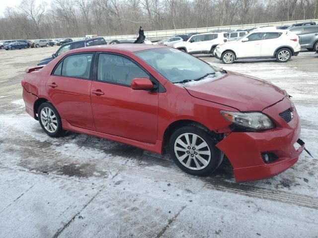 2010 Toyota Corolla Base