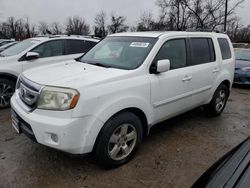 Honda Vehiculos salvage en venta: 2009 Honda Pilot EXL