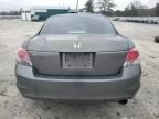 2008 Honda Accord LXP