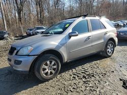 Salvage cars for sale at Baltimore, MD auction: 2006 Mercedes-Benz ML 350