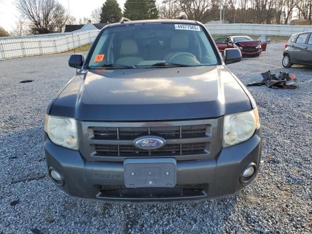 2008 Ford Escape Limited