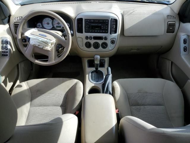 2007 Ford Escape XLT