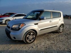 Salvage cars for sale at Taylor, TX auction: 2011 KIA Soul +