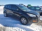 2016 Ford Escape S