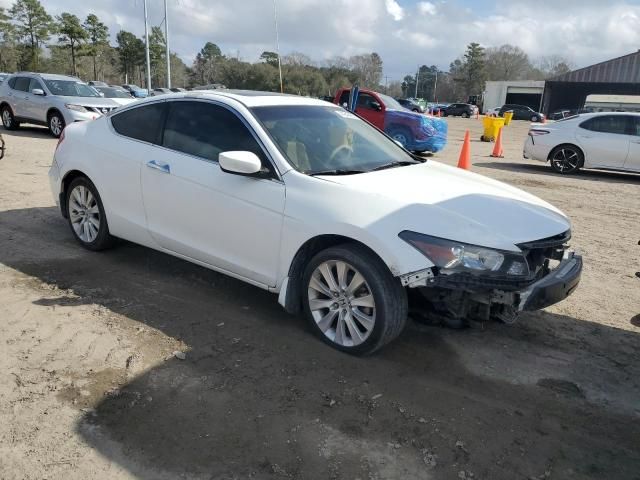 2009 Honda Accord EXL