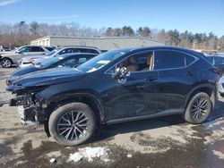 Salvage cars for sale at Exeter, RI auction: 2024 Lexus NX 350 Base