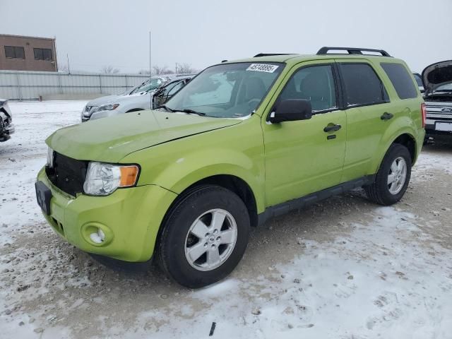 2012 Ford Escape XLT