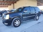 2008 Cadillac Escalade Luxury