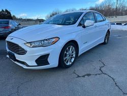 Clean Title Cars for sale at auction: 2019 Ford Fusion SE