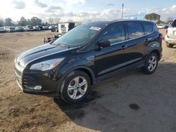 Ford salvage cars for sale: 2015 Ford Escape SE