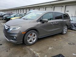 Honda Odyssey exl Vehiculos salvage en venta: 2019 Honda Odyssey EXL