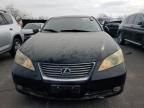 2009 Lexus ES 350