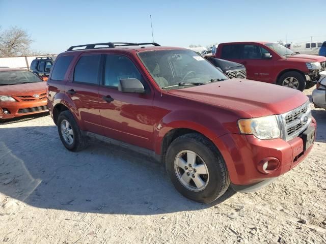 2012 Ford Escape XLT