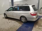 2005 Honda Odyssey EXL