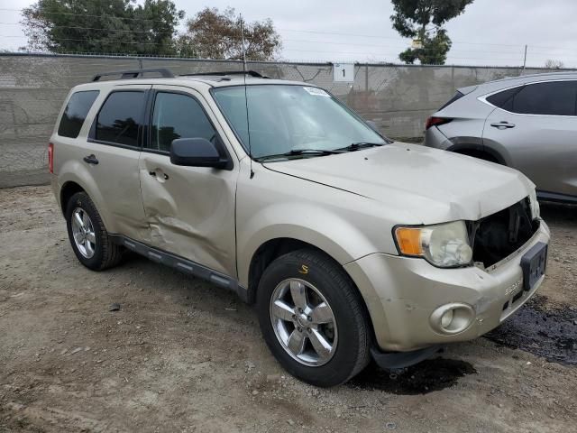 2010 Ford Escape XLT