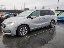 Honda salvage cars for sale: 2021 Honda Odyssey EXL