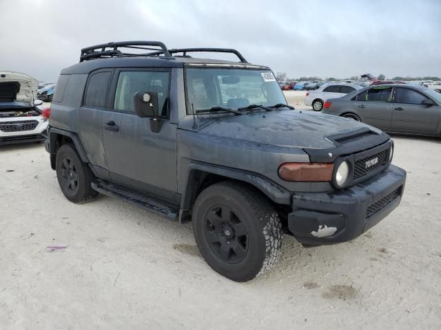 2007 Toyota FJ Cruiser