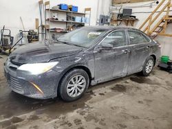 Salvage cars for sale at Ham Lake, MN auction: 2016 Toyota Camry LE