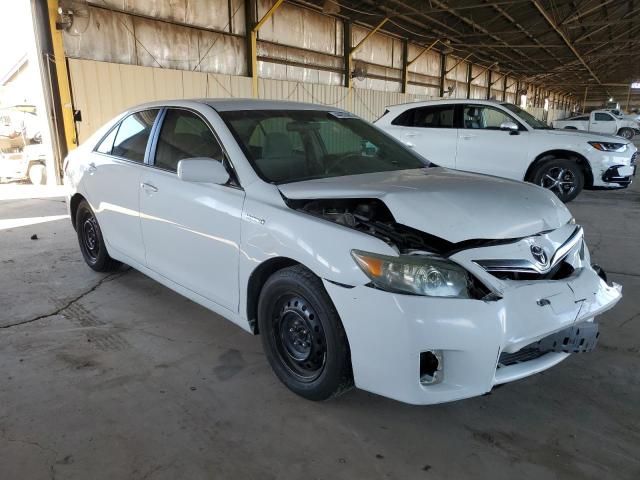 2010 Toyota Camry Hybrid