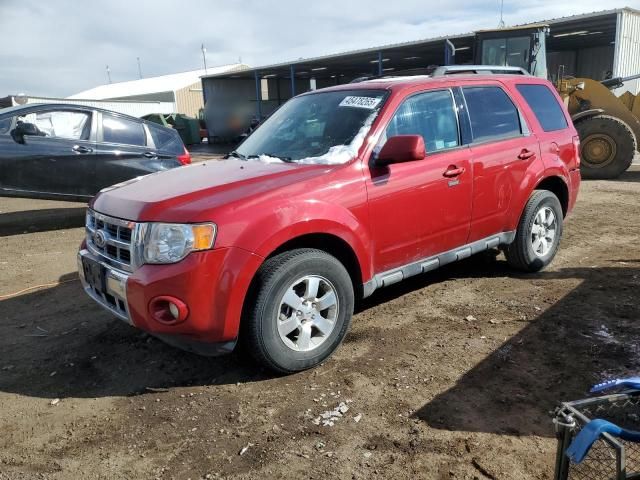 2010 Ford Escape Limited