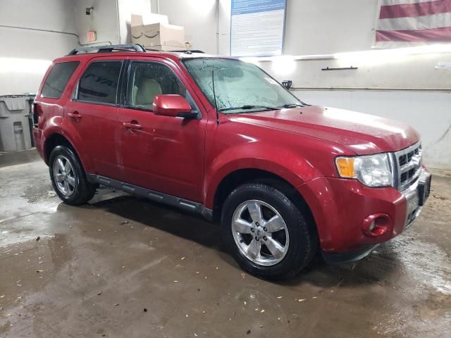 2011 Ford Escape Limited