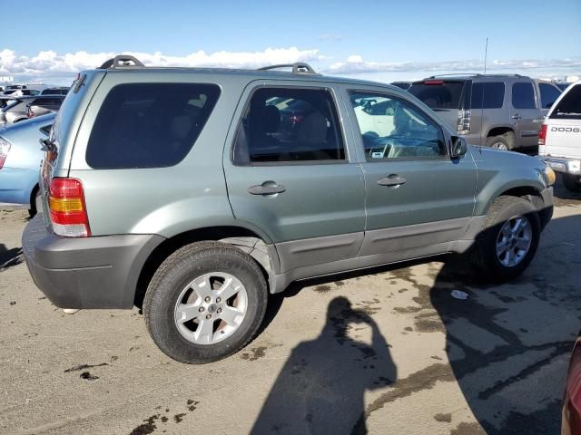 2007 Ford Escape XLT