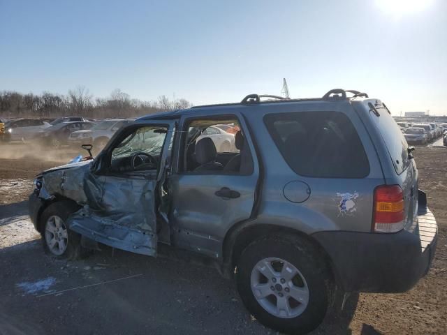 2005 Ford Escape XLT