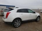 2012 Cadillac SRX Performance Collection