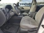 2007 Ford Escape XLT