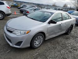 Salvage cars for sale at Arlington, WA auction: 2013 Toyota Camry L