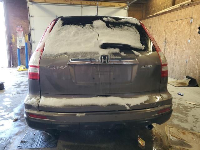 2010 Honda CR-V EXL