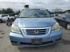 2008 Honda Odyssey EXL