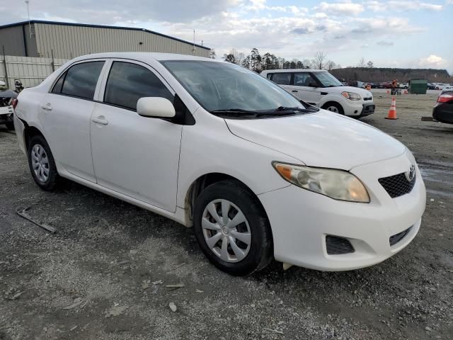 2010 Toyota Corolla Base