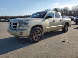 Salvage cars for sale at Glassboro, NJ auction: 2011 Dodge Dakota SLT