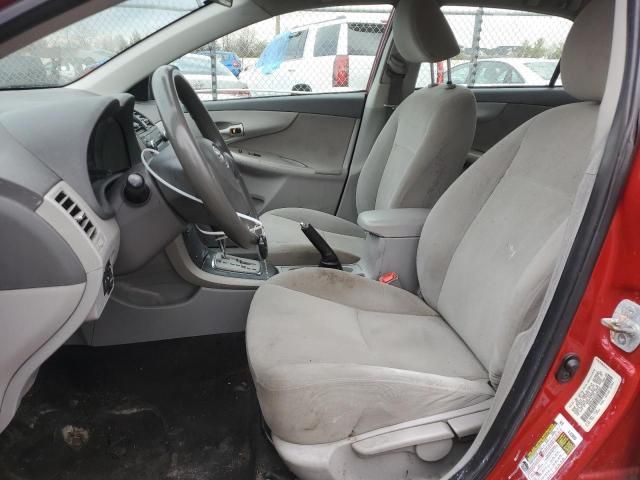 2010 Toyota Corolla Base