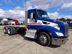 Salvage trucks for sale at Colton, CA auction: 2016 Peterbilt 579