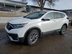 Salvage cars for sale at Albuquerque, NM auction: 2021 Honda CR-V EX