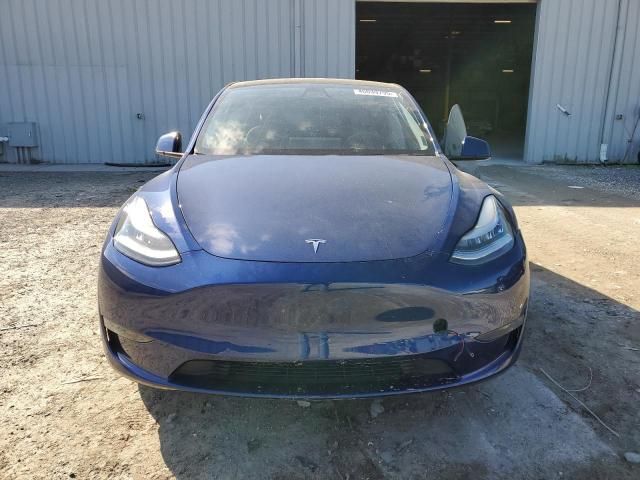 2020 Tesla Model Y