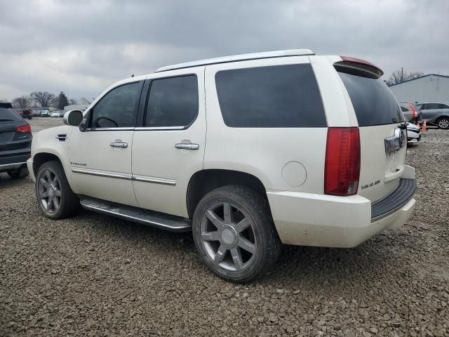 2007 Cadillac Escalade Luxury