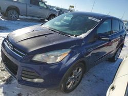 Salvage cars for sale at Cahokia Heights, IL auction: 2013 Ford Escape SEL